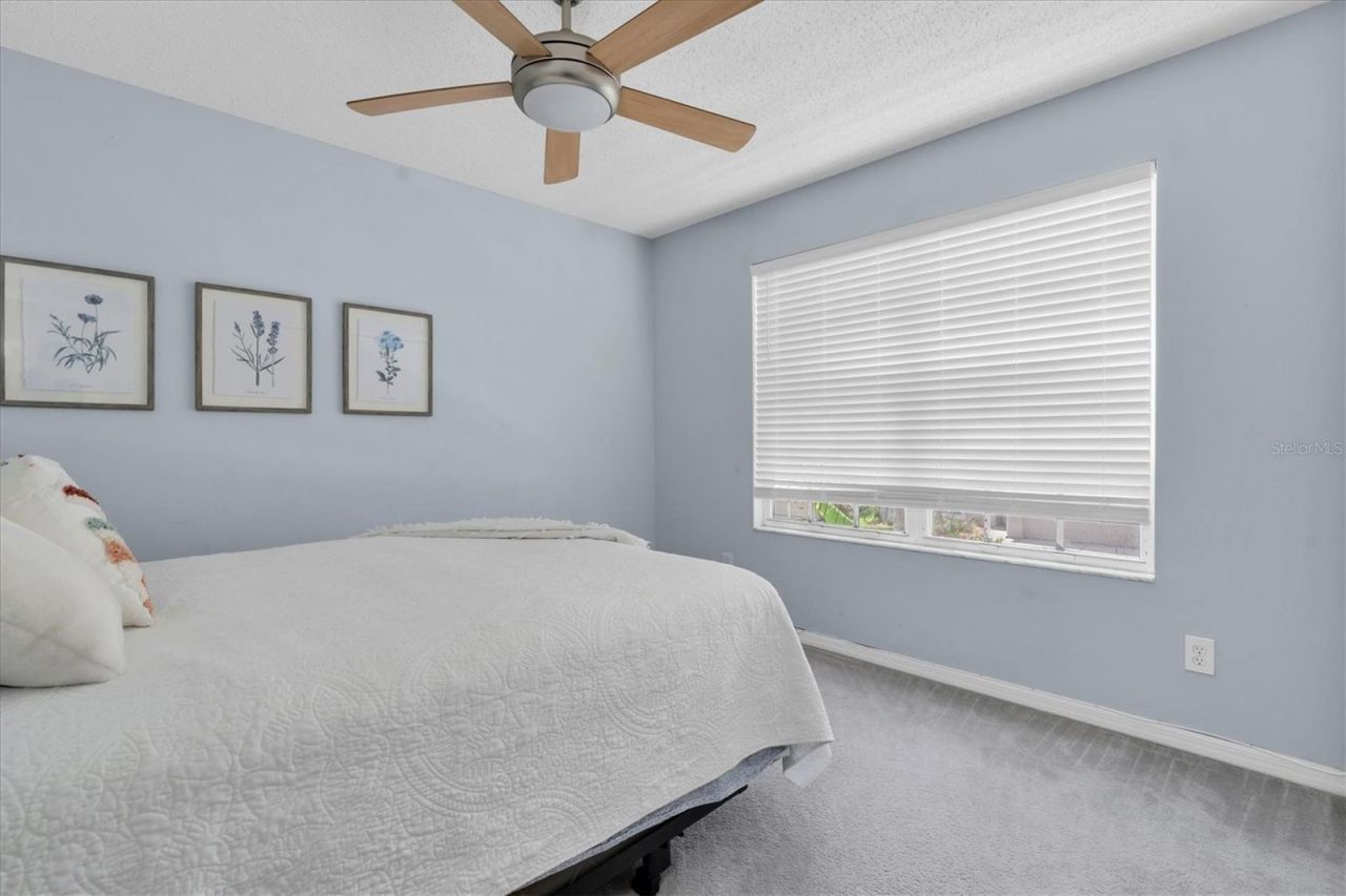 1746 Roseroot Court , Trinity, FL 34655 Photo