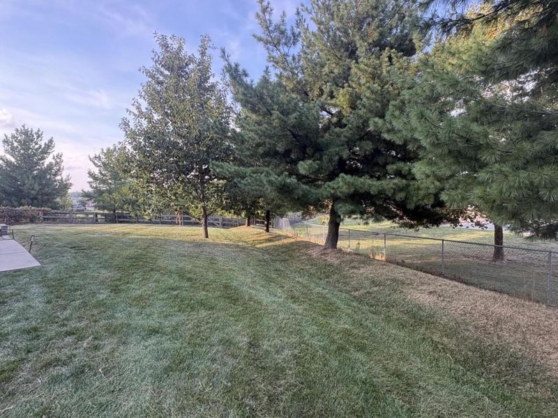 1810 Waverly Drive, Florence, KY 41042 Photo 36