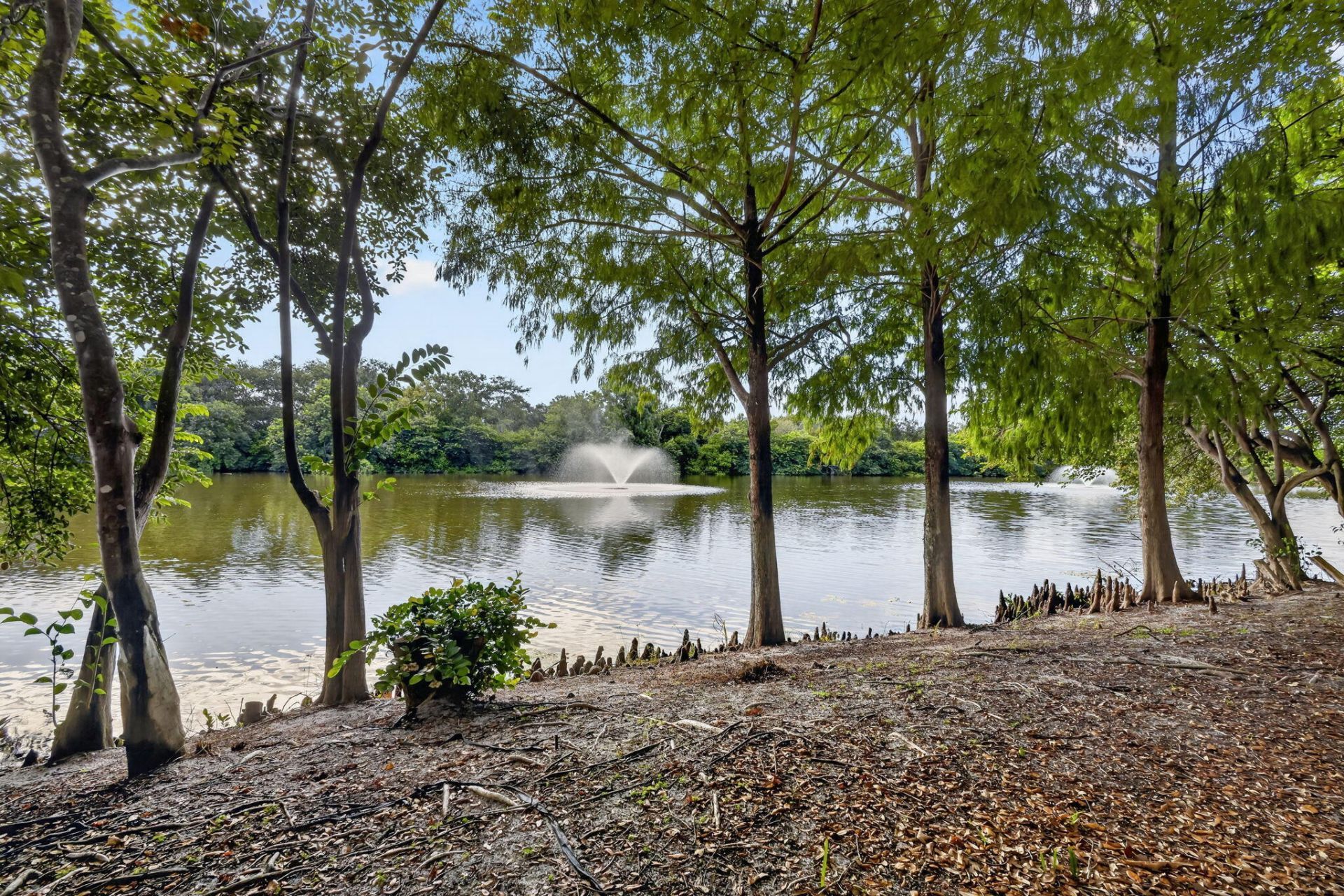 2899 S Greenleaf Circle, Boynton Beach, FL 33426 Photo