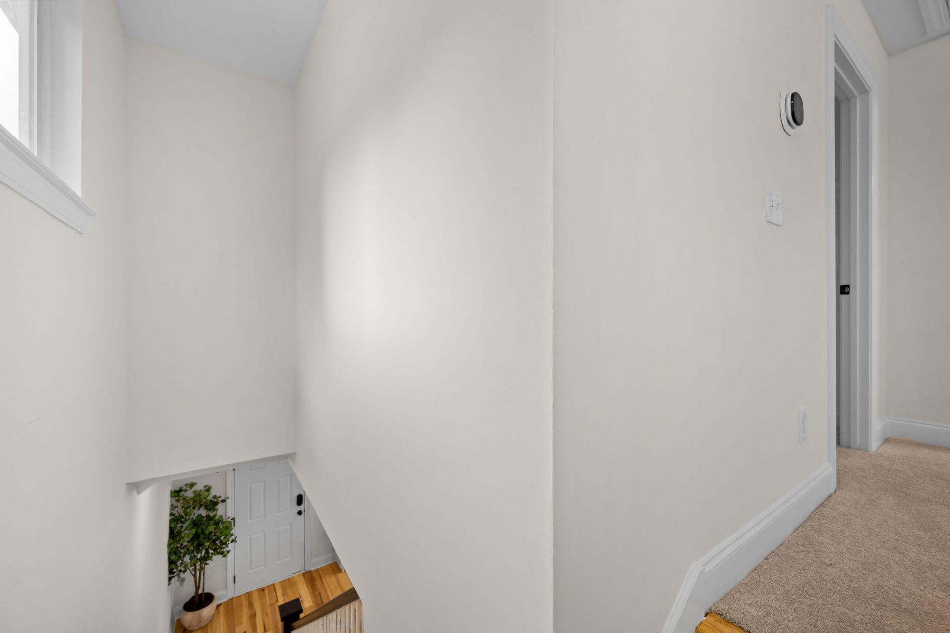 1811 Parkland Preserve Lane Photo 16
