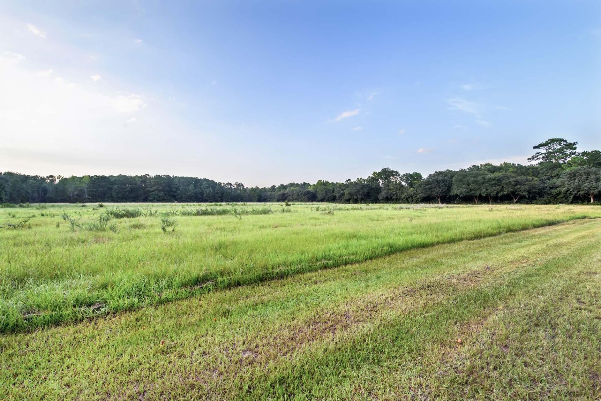 8889 Us-17 Photo 15