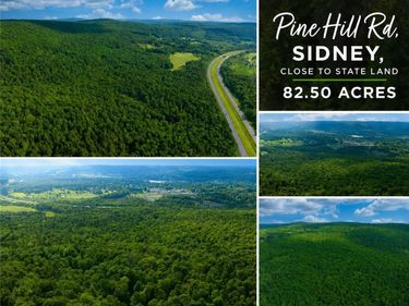 0 Pine Hill Road, Sidney, NY 13838