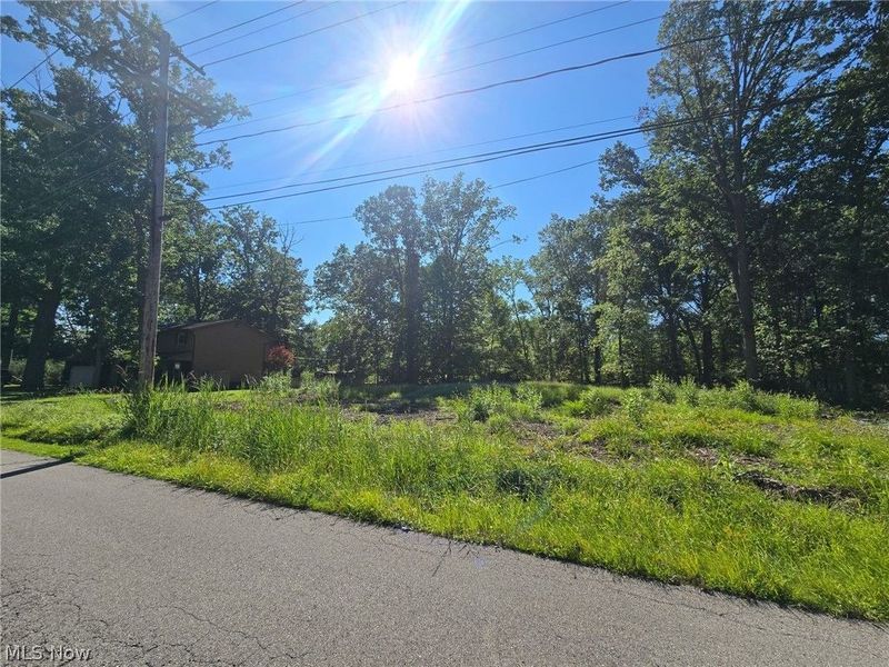 V/L Idlewood Avenue, Sheffield Lake, OH 44054 Photo 2