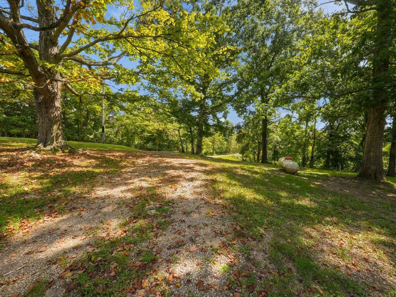 24731 Pole Ridge Road, South Bloomingville, OH 43152 Photo 7
