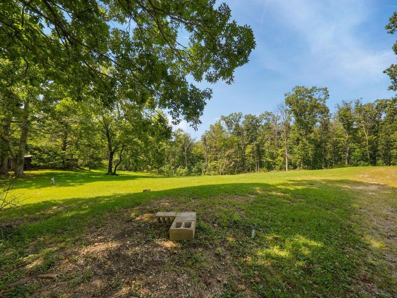 24731 Pole Ridge Road, South Bloomingville, OH 43152 Photo 8