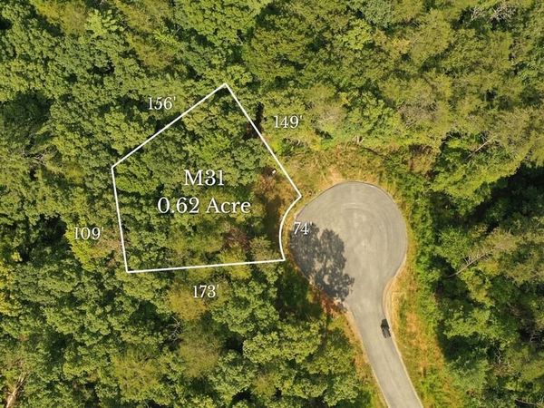 M31 Pine Valley Road, Mineral Bluff, GA 30559