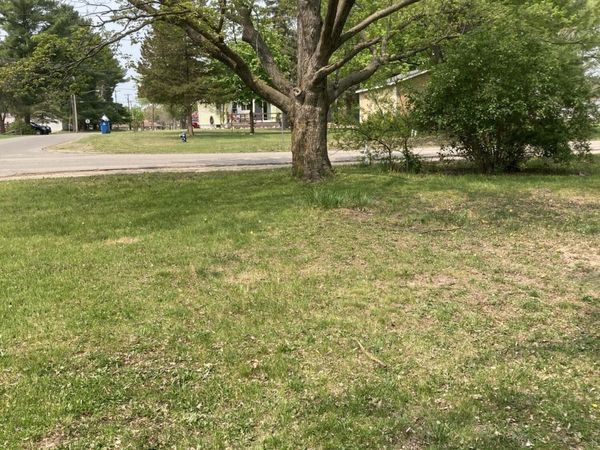 316 W Washington Street, Evart, MI 49631