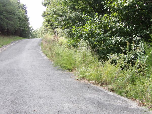 0000 Fox Road, Spencer, TN 38585
