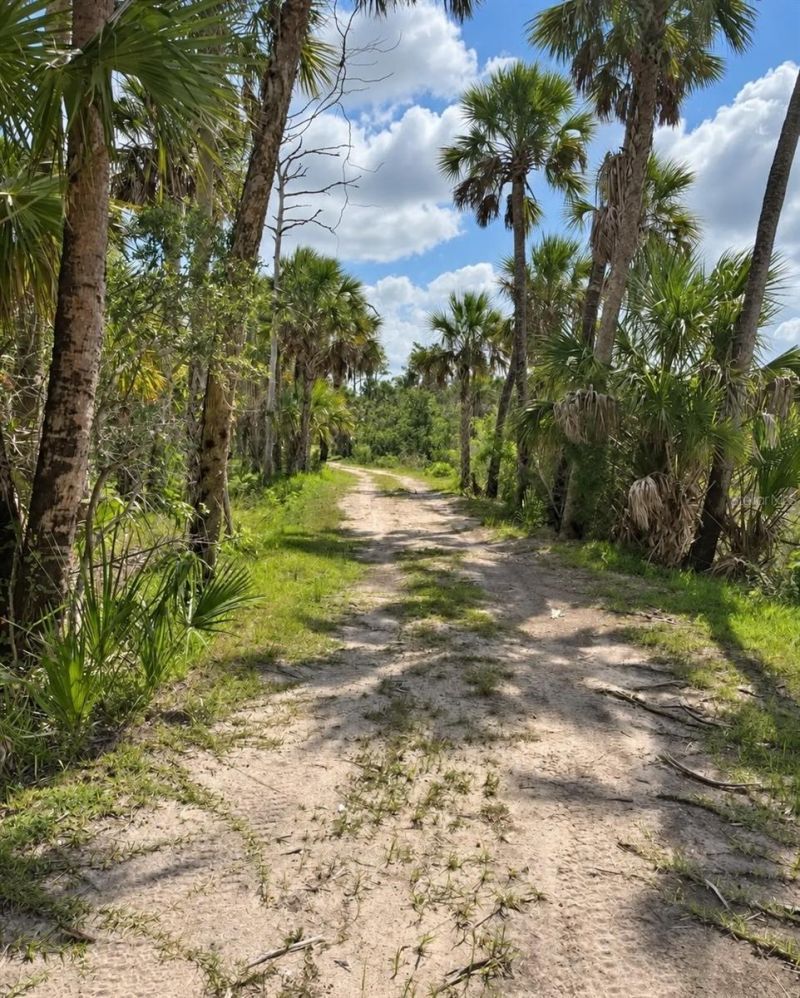3217 Shine Lane, Spring Hill, FL 34607 Photo
