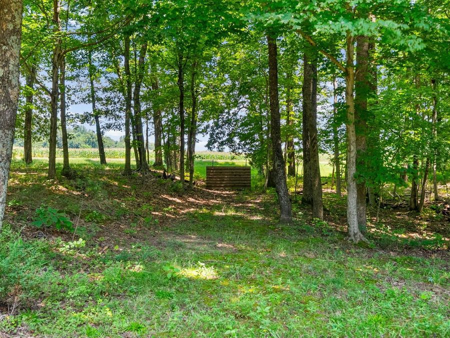 Property Image 86