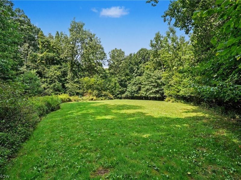 9619 Limeridge Road, Mantua, OH 44255 Photo 44