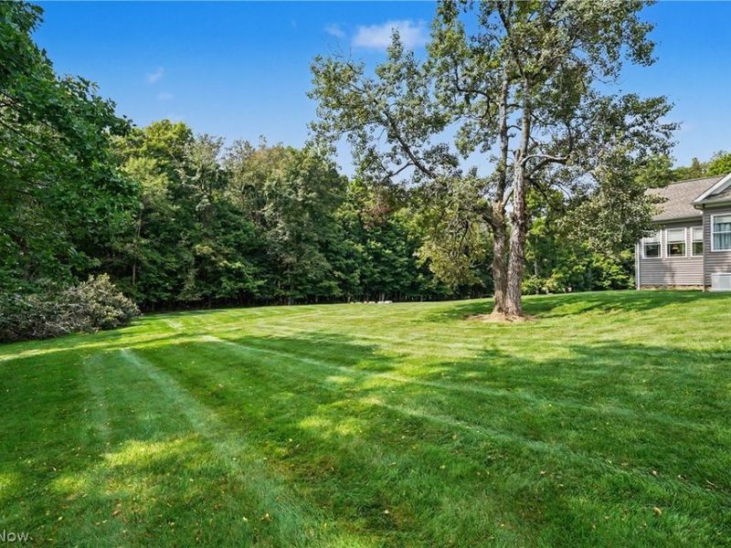 9619 Limeridge Road, Mantua, OH 44255 Photo 48