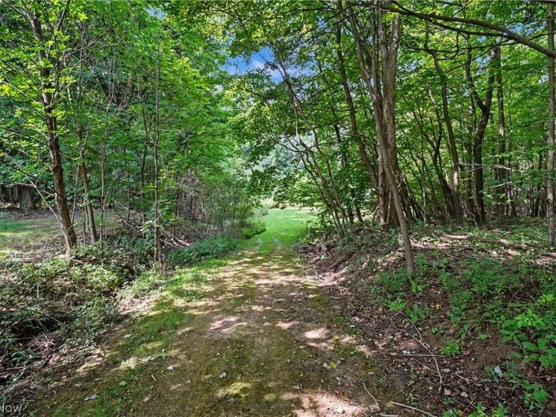 9619 Limeridge Road, Mantua, OH 44255 Photo 50