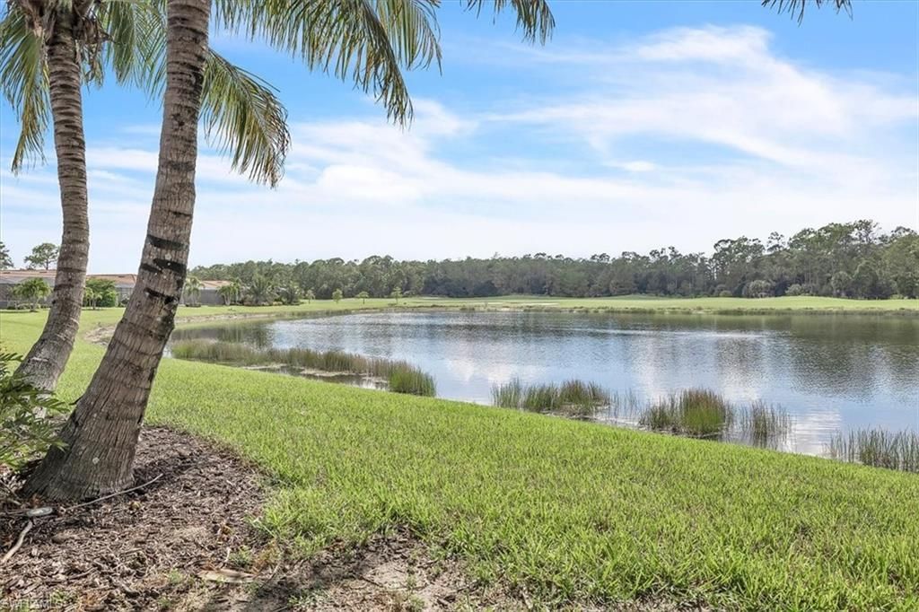 10600 Pistoia Dr, Fort Myers, FL 33913 Photo