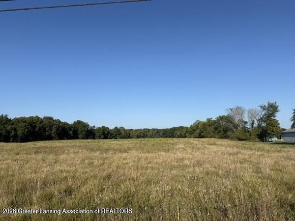12260 S Wacousta Road, Eagle, MI 48822