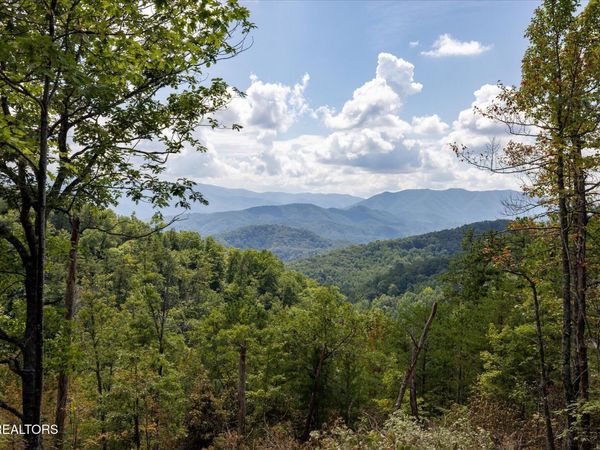 1080 Hembree Hollow Rd, Townsend, TN 37882