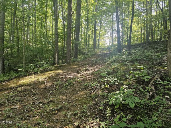 2 Franklin Lane , Unit 2, Sevierville, TN 37876