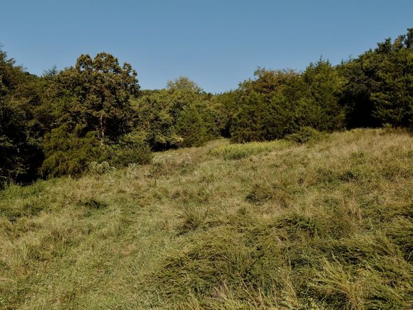 146 Bledsoe Rd , Petersburg, TN 37144