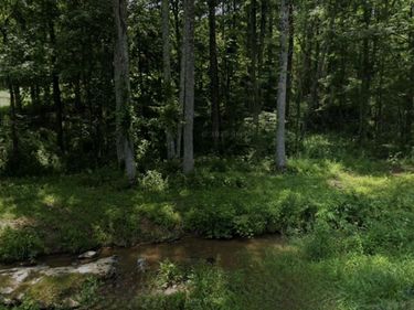 32 Coon Creek Road, Wellington, KY 40387