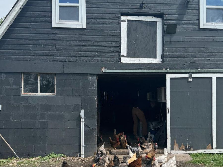 Property Image 37