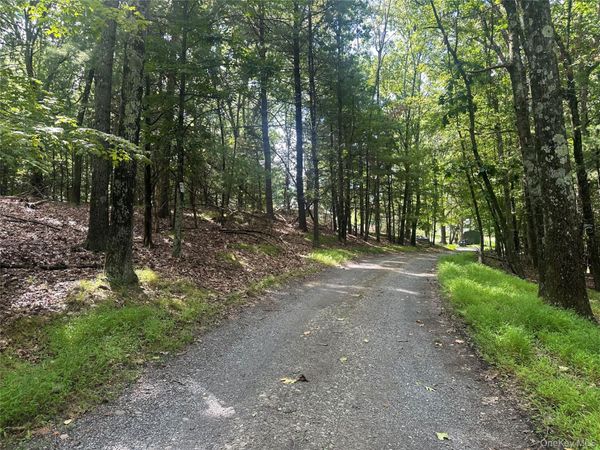 Cedar Drive , Elizaville, NY 12523
