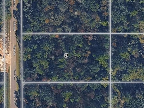 10230 Turpin AVE , HASTINGS, FL 32145