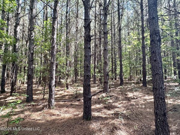 1 Dry Creek Road , Magee, MS 39111
