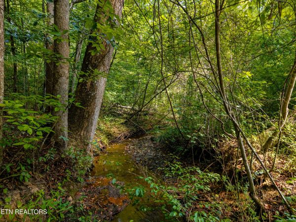407 Chetola Tr , Unit 101, Townsend, TN 37882