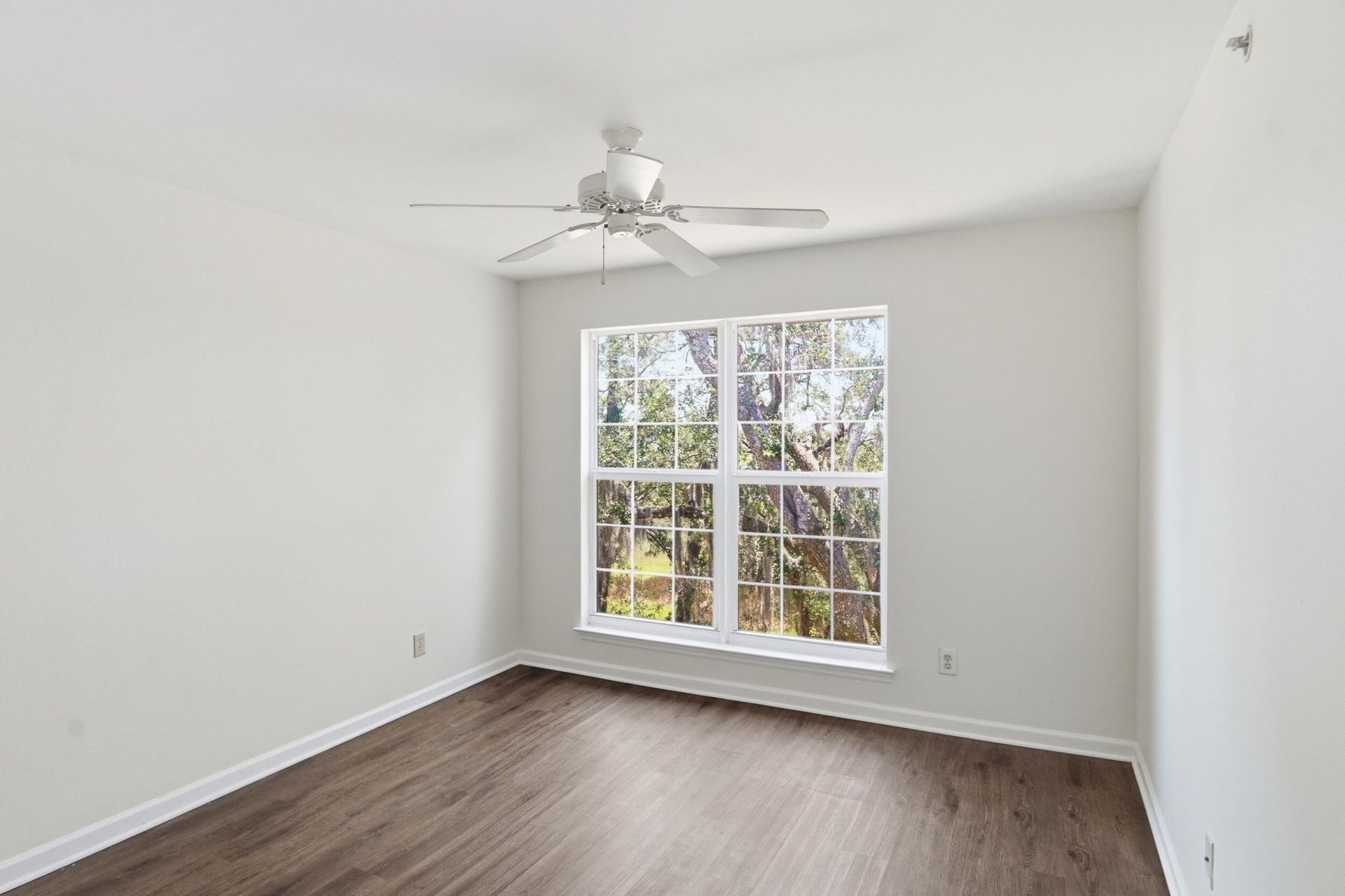 700 Daniel Ellis Drive Photo 26