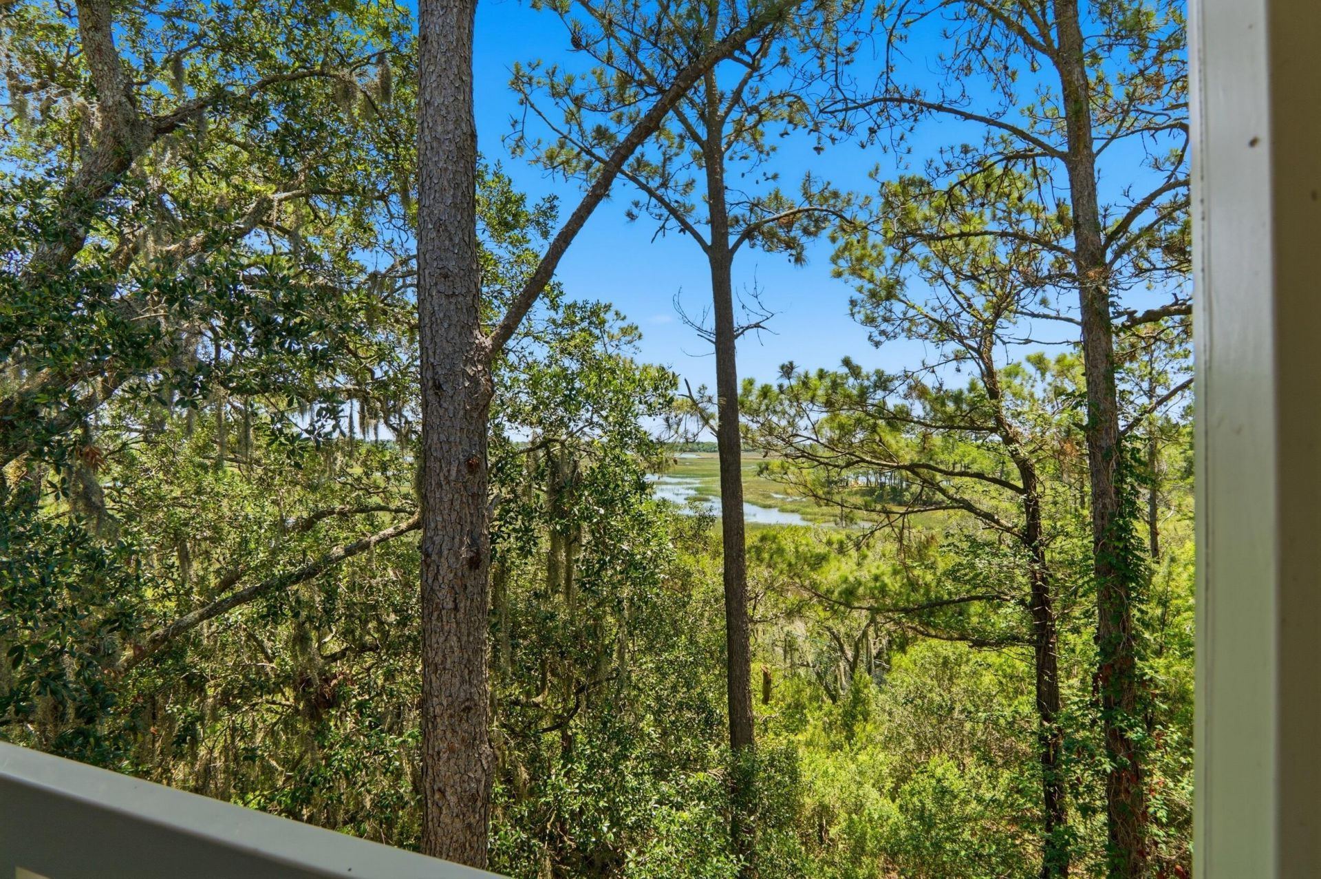700 Daniel Ellis Drive Photo 30