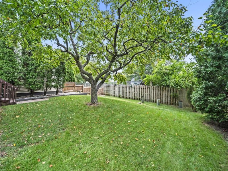 3325 Paradise Avenue, Hilliard, OH 43026 Photo 31