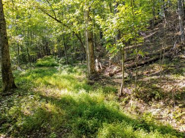 Highlands of RRG Lot 626 Bird Song Trail , Zoe, KY 41397
