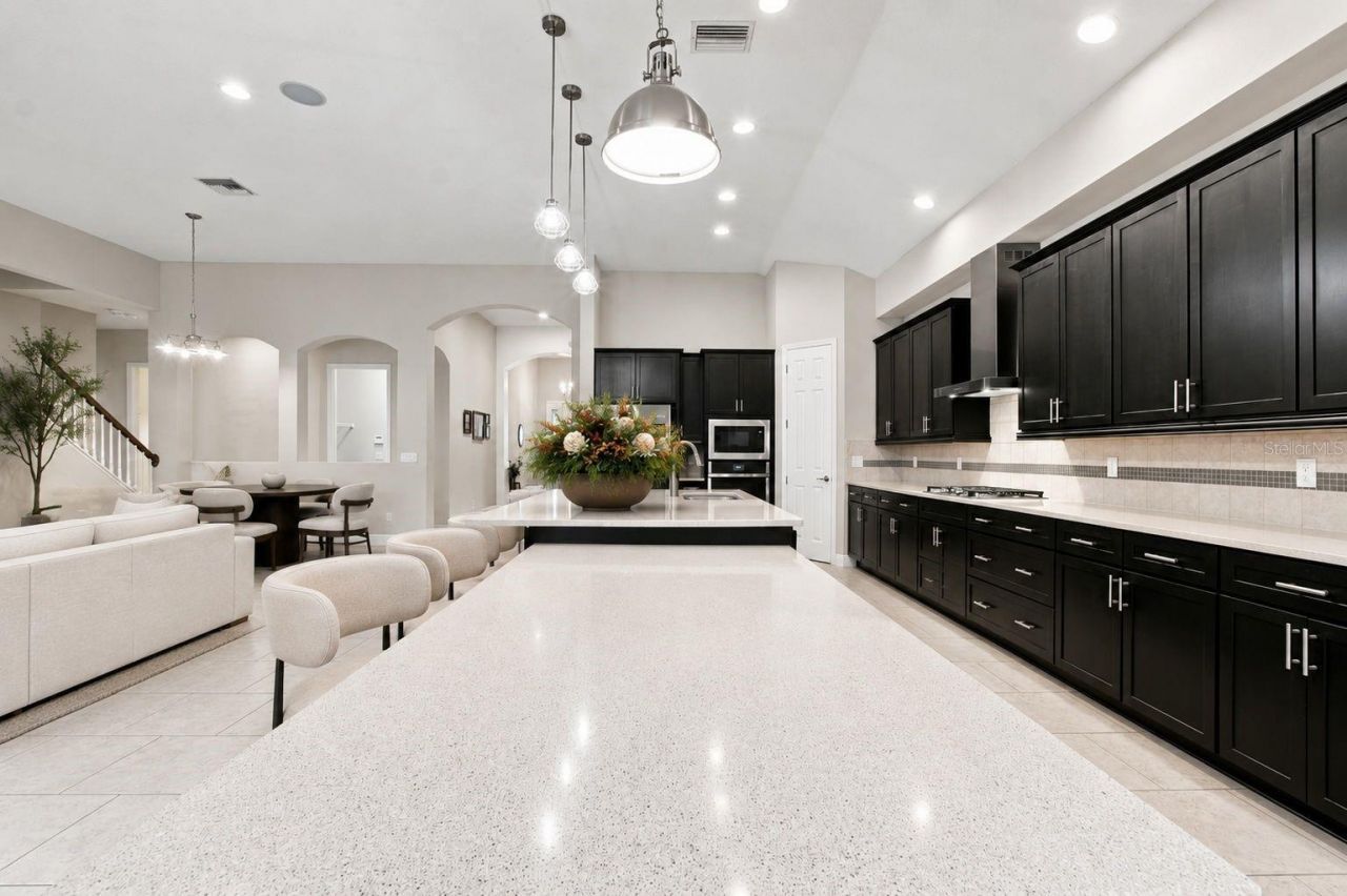 8318 Swiss Chard Circle , Land O Lakes, FL 34637 Photo