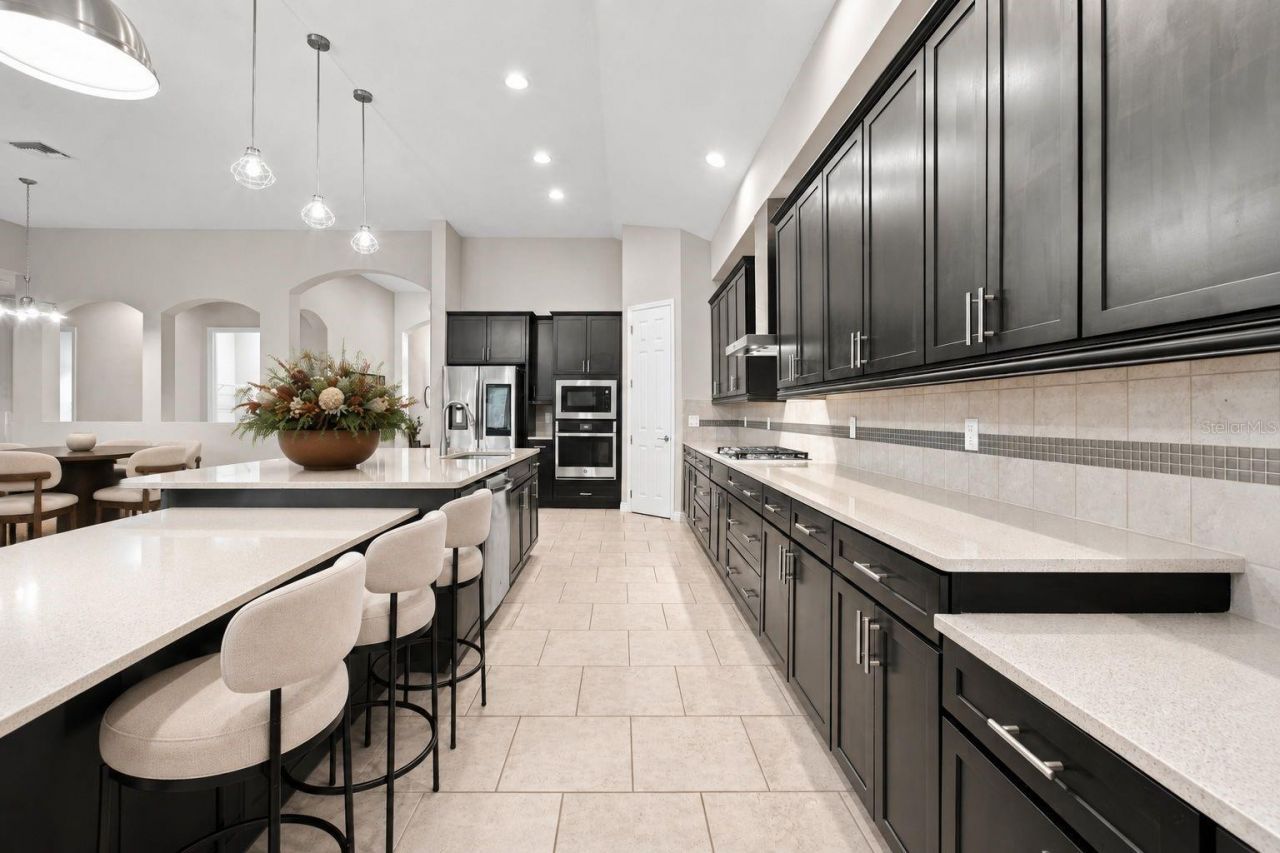 8318 Swiss Chard Circle , Land O Lakes, FL 34637 Photo