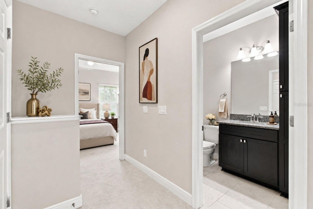 8318 Swiss Chard Circle , Land O Lakes, FL 34637 Photo