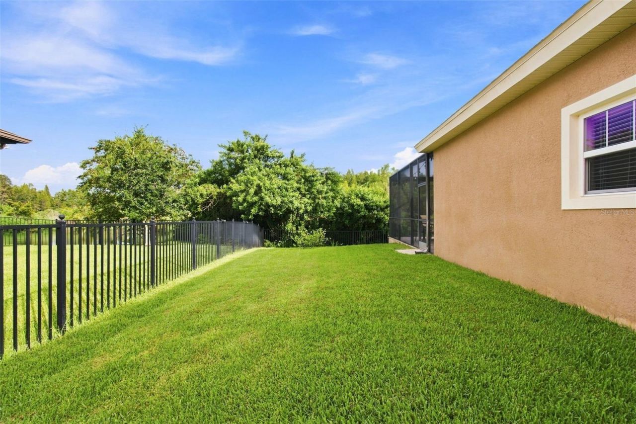8318 Swiss Chard Circle , Land O Lakes, FL 34637 Photo