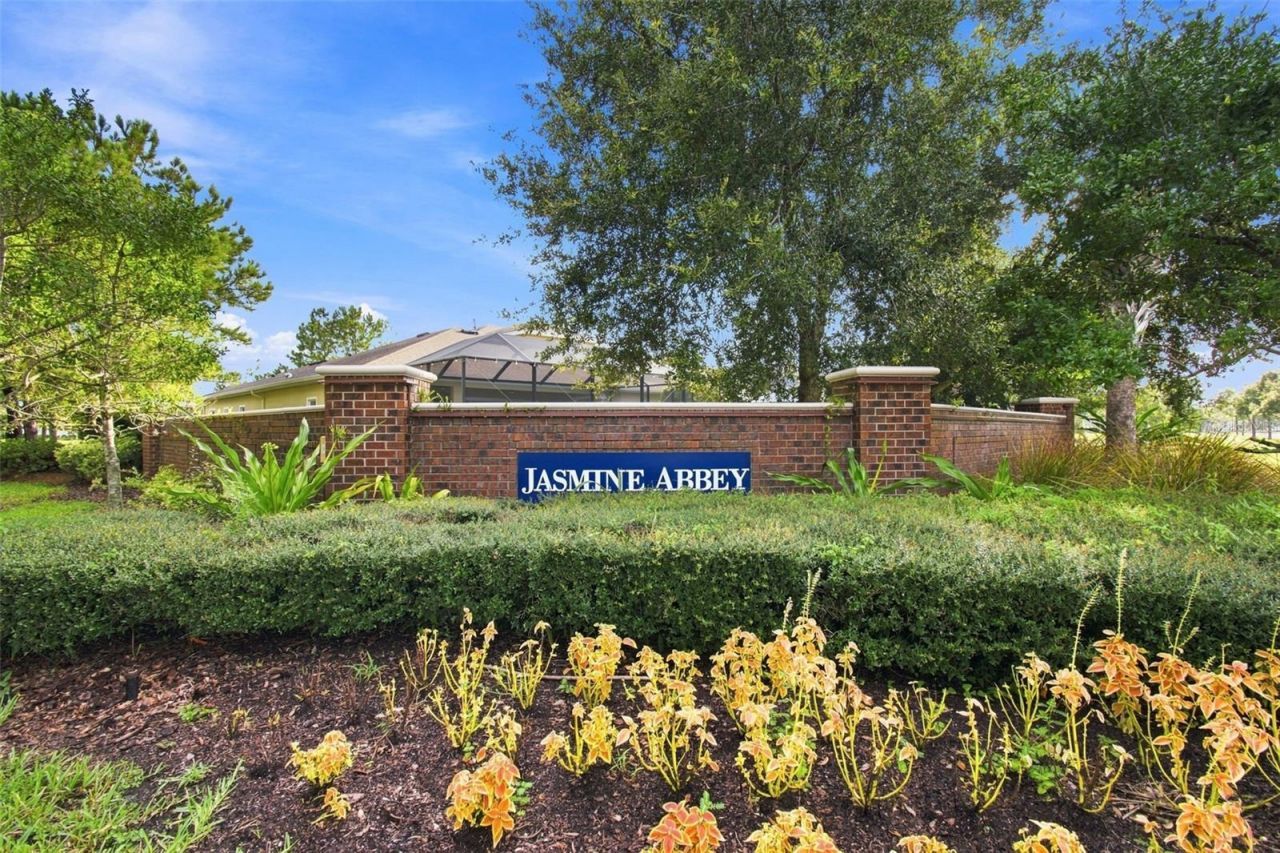 8318 Swiss Chard Circle , Land O Lakes, FL 34637 Photo