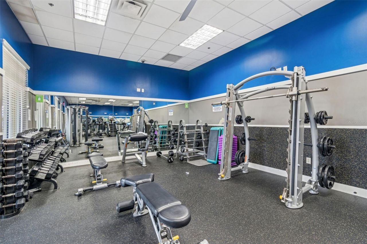8318 Swiss Chard Circle , Land O Lakes, FL 34637 Photo