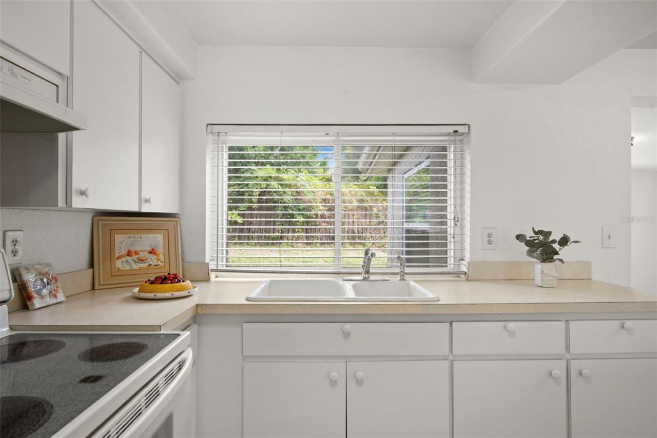 3438 Kimberly Oaks Drive , Holiday, FL 34691 Photo