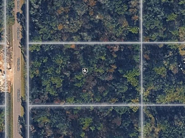 10230 TURPIN AVENUE , HASTINGS, FL 32145