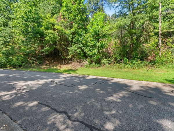 0 Raspberry Lane #1502, Clarkesville, GA 30523
