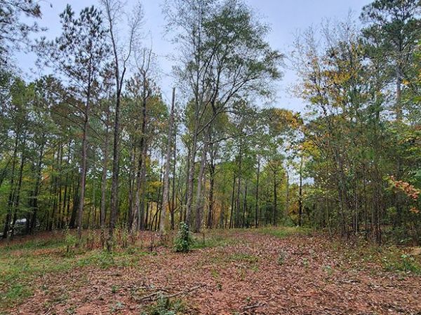18 E Mourning Dove Court, Monticello, GA 31064