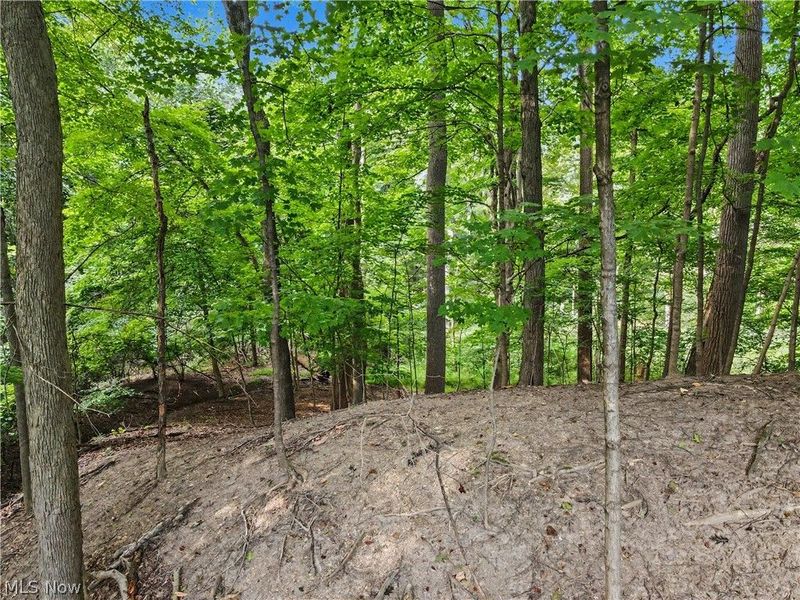 10385 King Coe Lane, Strongsville, OH 44149 Photo 46