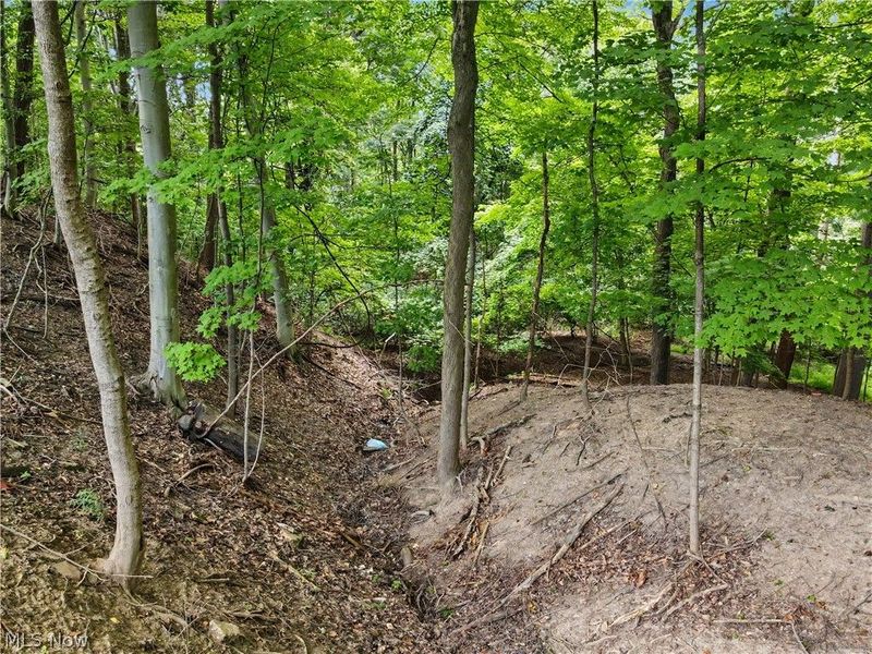 10385 King Coe Lane, Strongsville, OH 44149 Photo 47