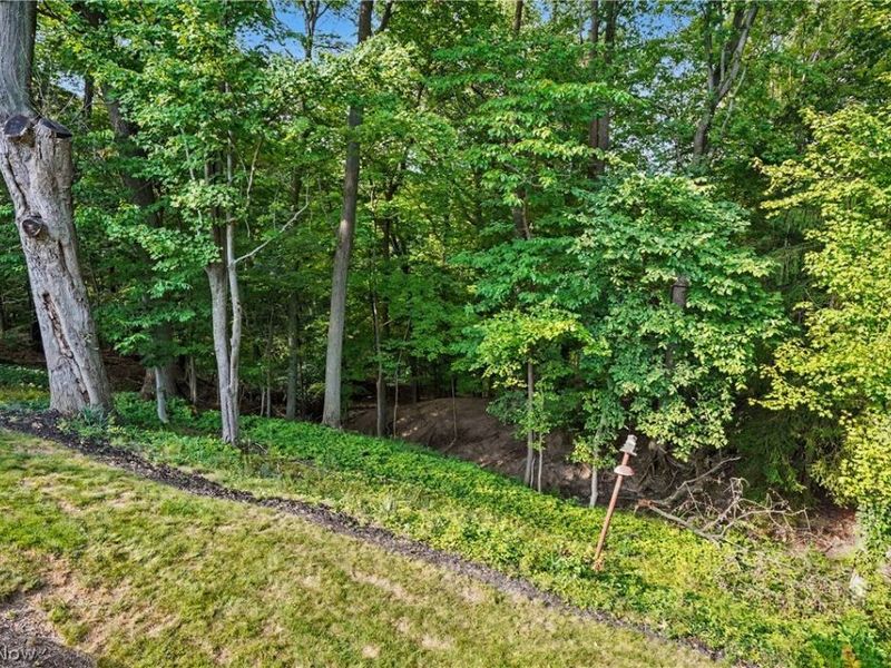 10385 King Coe Lane, Strongsville, OH 44149 Photo 49