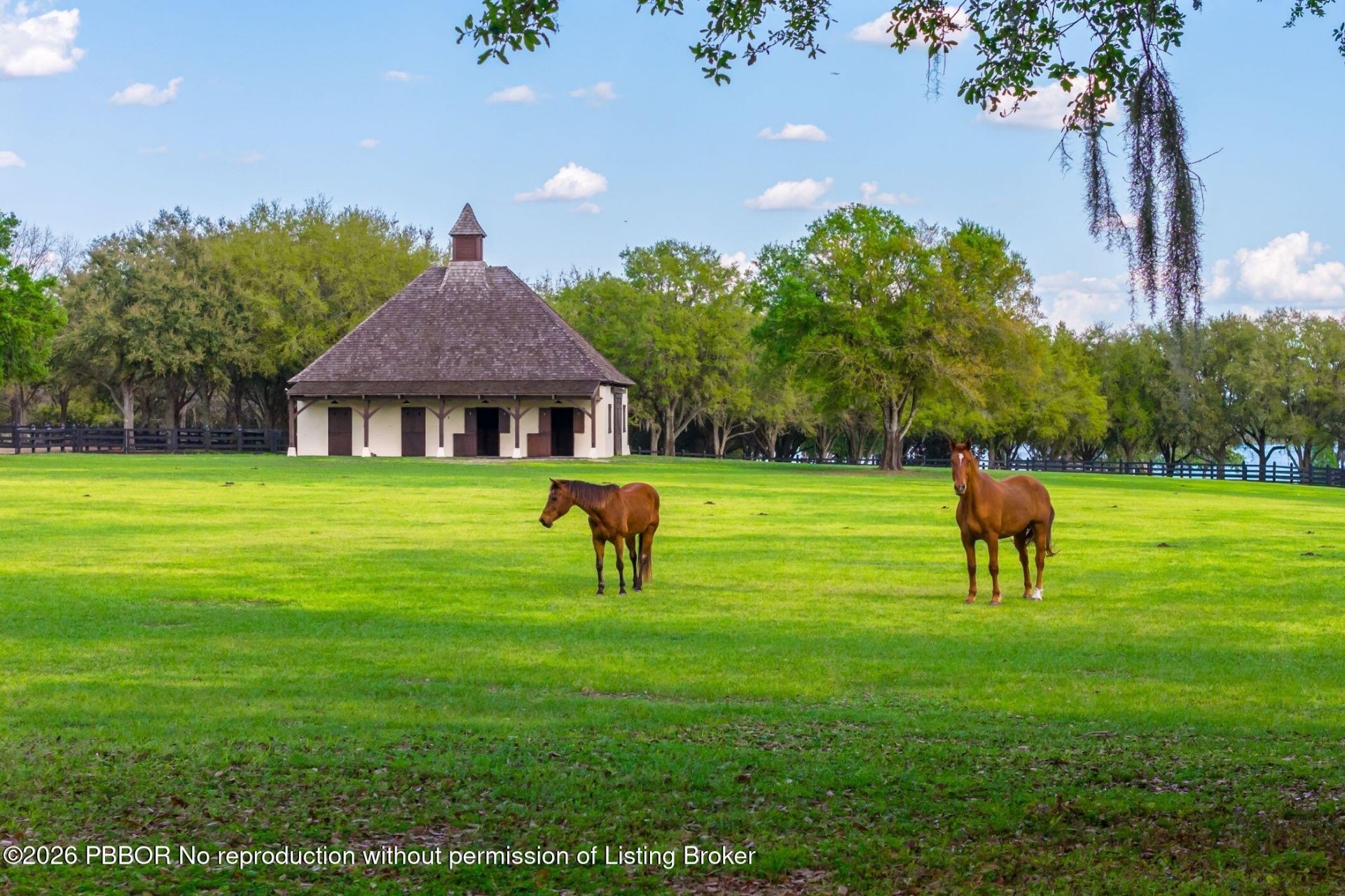 12321 Fort King Hwy, Thonotosassa, FL 33592 Photo
