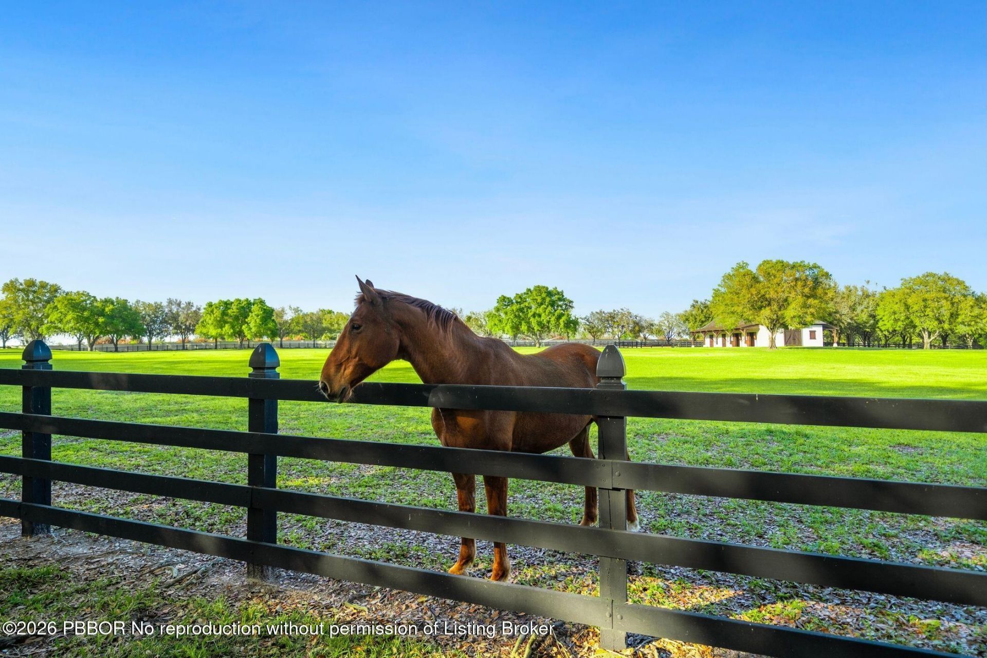 12321 Fort King Hwy, Thonotosassa, FL 33592 Photo