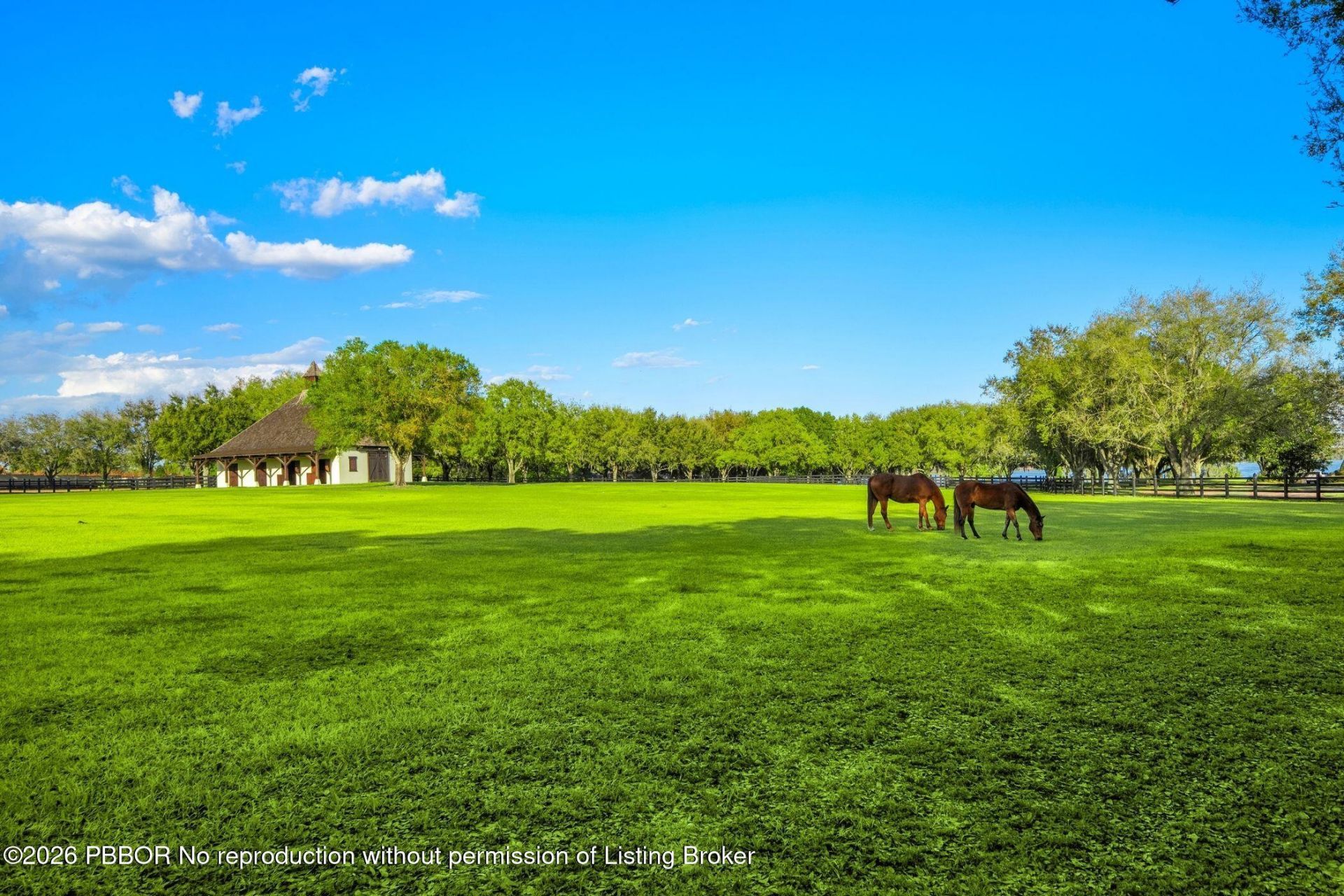 12321 Fort King Hwy, Thonotosassa, FL 33592 Photo