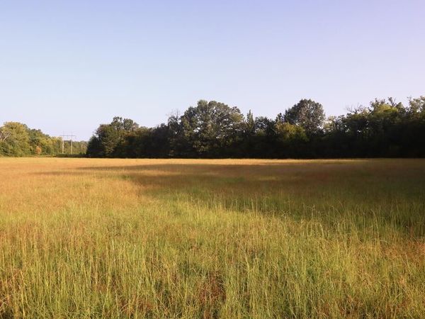 123 Cr 203, Tupelo, MS 38804