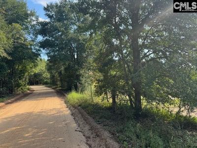 0 Mary Rawls Road , Wagener, SC 29164